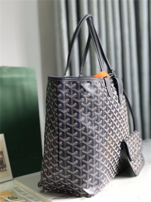 Goyard Saint Louis PM Bag In Goyardine Canvas & Chevroches Calfskin