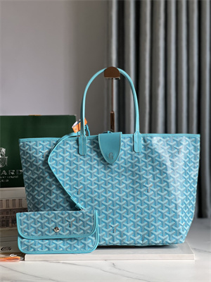 Goyard Saint Louis PM Bag In Goyardine Canvas & Chevroches Calfskin