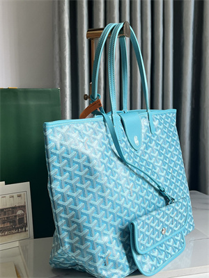 Goyard Saint Louis PM Bag In Goyardine Canvas & Chevroches Calfskin