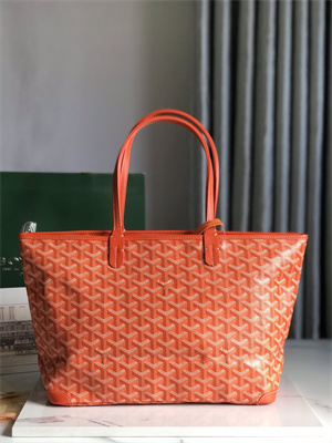 Goyard Artois PM Bag Goyardine Canvas & Chevroches Calfskin