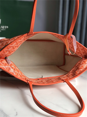 Goyard Artois PM Bag Goyardine Canvas & Chevroches Calfskin