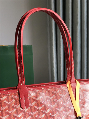 Goyard Artois PM Bag Goyardine Canvas & Chevroches Calfskin