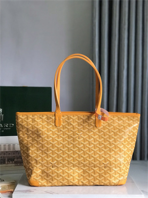 Goyard Artois PM Bag Goyardine Canvas & Chevroches Calfskin