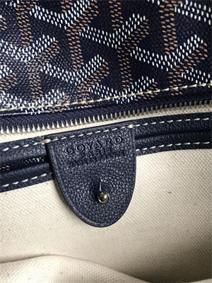 Goyard Artois PM Bag Goyardine Canvas & Chevroches Calfskin
