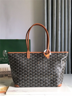 Goyard Artois PM Bag Goyardine Canvas & Chevroches Calfskin