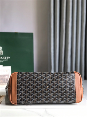 Goyard Artois PM Bag Goyardine Canvas & Chevroches Calfskin