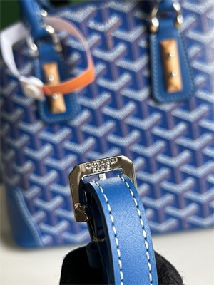 Goyard Vendome Mini Bag In Goyardine Canvas & Chevroches Calfskin