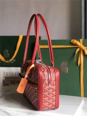 Goyard Saint Martin Handbag In Goyardine Canvas & Chevroches Calfskin