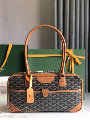 Goyard Saint Martin Handbag In Goyardine Canvas & Chevroches Calfskin