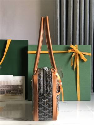 Goyard Saint Martin Handbag In Goyardine Canvas & Chevroches Calfskin