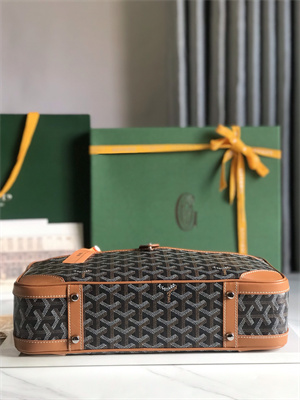 Goyard Saint Martin Handbag In Goyardine Canvas & Chevroches Calfskin