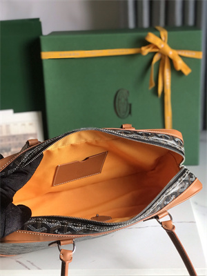 Goyard Saint Martin Handbag In Goyardine Canvas & Chevroches Calfskin