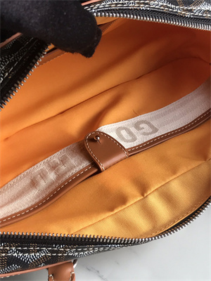 Goyard Saint Martin Handbag In Goyardine Canvas & Chevroches Calfskin