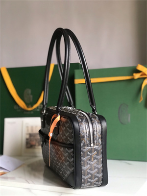Goyard Saint Martin Handbag In Goyardine Canvas & Chevroches Calfskin
