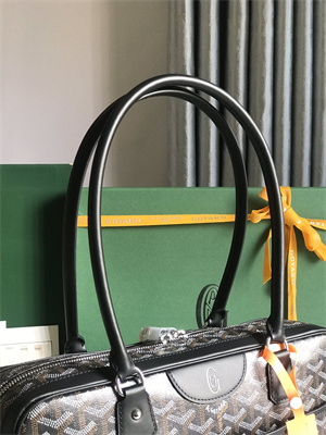 Goyard Saint Martin Handbag In Goyardine Canvas & Chevroches Calfskin