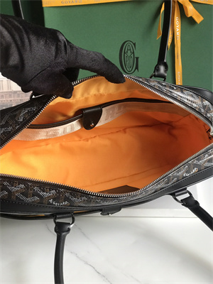 Goyard Saint Martin Handbag In Goyardine Canvas & Chevroches Calfskin