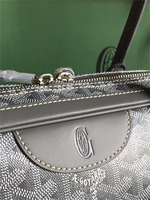 Goyard Saint Martin Handbag In Goyardine Canvas & Chevroches Calfskin