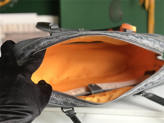 Goyard Saint Martin Handbag In Goyardine Canvas & Chevroches Calfskin