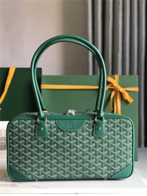 Goyard Saint Martin Handbag In Goyardine Canvas & Chevroches Calfskin