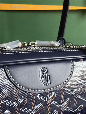 Goyard Saint Martin Handbag In Goyardine Canvas & Chevroches Calfskin