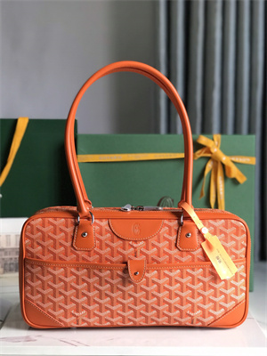 Goyard Saint Martin Handbag In Goyardine Canvas & Chevroches Calfskin