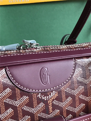 Goyard Saint Martin Handbag In Goyardine Canvas & Chevroches Calfskin