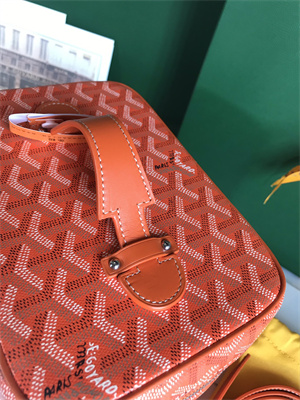 Goyard Muse Vanity Case In Goyardine Canvas & Cervon Calfskin