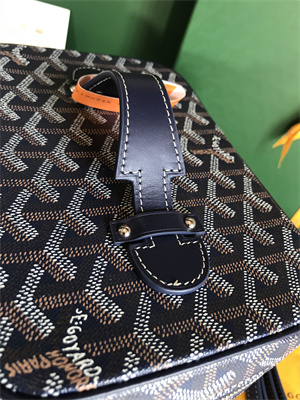 Goyard Muse Vanity Case In Goyardine Canvas & Cervon Calfskin