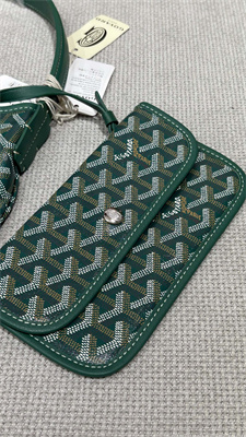 Goyard Bohème Hobo Bag Goyardine Canvas & Chevroches Calfskin