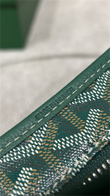 Goyard Bohème Hobo Bag Goyardine Canvas & Chevroches Calfskin