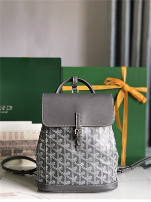 Goyard Alpin Mini Backpack Goyardine Canvas & Chevroches Calfskin