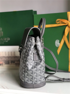 Goyard Alpin Mini Backpack Goyardine Canvas & Chevroches Calfskin