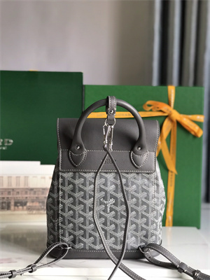 Goyard Alpin Mini Backpack Goyardine Canvas & Chevroches Calfskin
