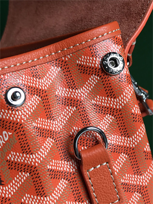 Goyard Alpin Mini Backpack Goyardine Canvas & Chevroches Calfskin