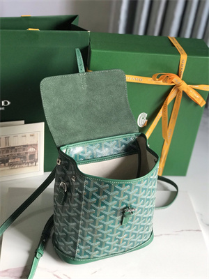 Goyard Alpin Mini Backpack Goyardine Canvas & Chevroches Calfskin