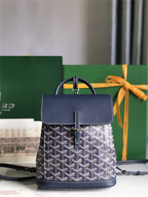 Goyard Alpin Mini Backpack Goyardine Canvas & Chevroches Calfskin
