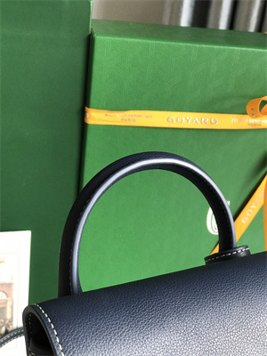 Goyard Alpin Mini Backpack Goyardine Canvas & Chevroches Calfskin