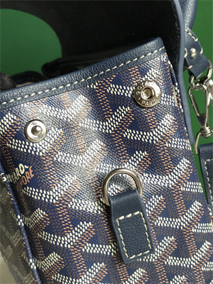 Goyard Alpin Mini Backpack Goyardine Canvas & Chevroches Calfskin