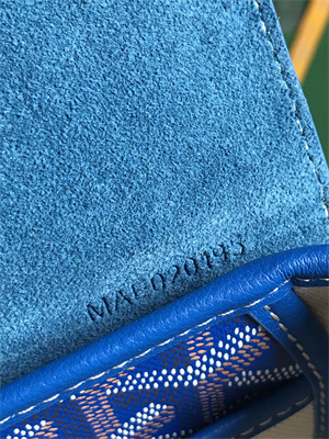 Goyard Alpin Mini Backpack Goyardine Canvas & Chevroches Calfskin