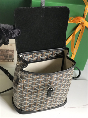 Goyard Alpin Mini Backpack Goyardine Canvas & Chevroches Calfskin