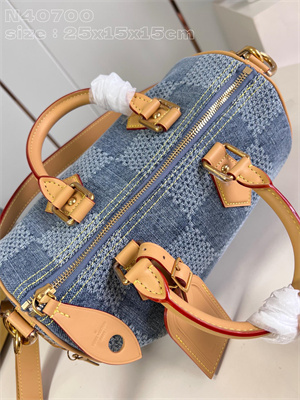 L.V Speedy Bandoulière 25 Damier Denim 3D cotton canvas Blue N40700