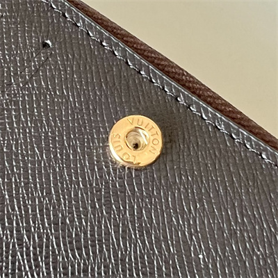 LV  Lou Wallet Monogram and Monogram Reverse coated canvas M81461