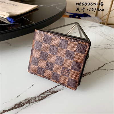 LV Multiple Wallet Damier Ebene Canvas N60895