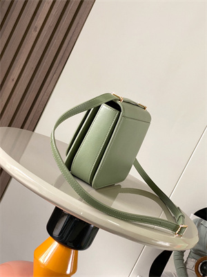 Loewe Goya Bag In Silk Calfskin