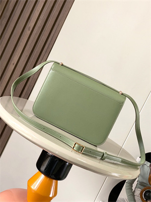 Loewe Goya Bag In Silk Calfskin