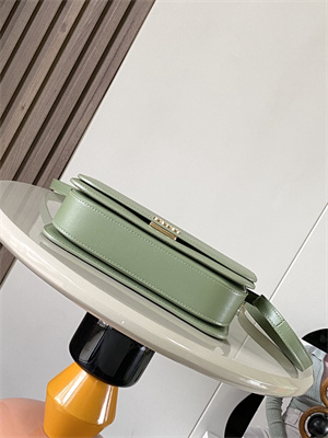 Loewe Goya Bag In Silk Calfskin