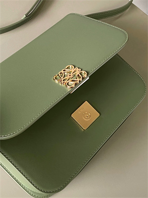 Loewe Goya Bag In Silk Calfskin