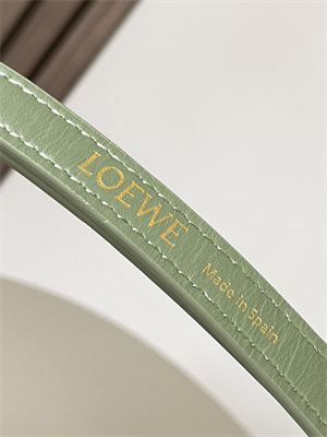 Loewe Goya Bag In Silk Calfskin