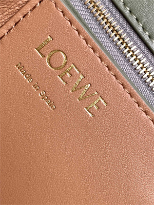 Loewe Goya Bag In Silk Calfskin