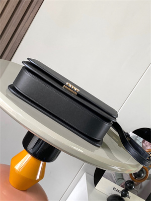 Loewe Goya Bag In Silk Calfskin